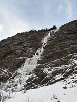 Fine et délicatesse