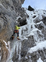 Fine et délicatesse